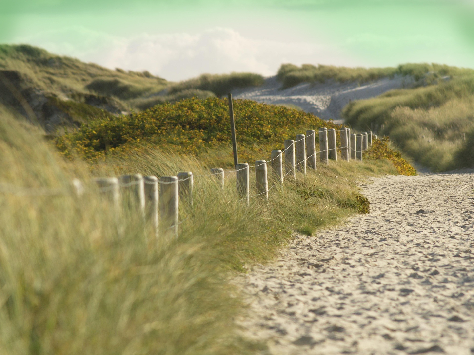 Pathway 3: Steady Forward